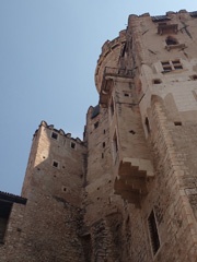 P8117014a.jpg